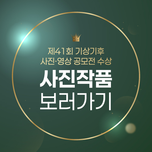 41회 사진 갤러리